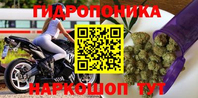 стафф Моздок