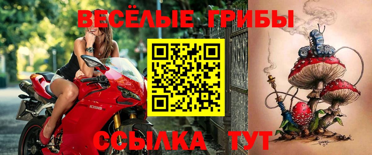 Галлюциногенные грибы прущие грибы  Вход с VPN  сколько стоит  Казань  Галлюциногенные грибы Psilocybine cubensis 