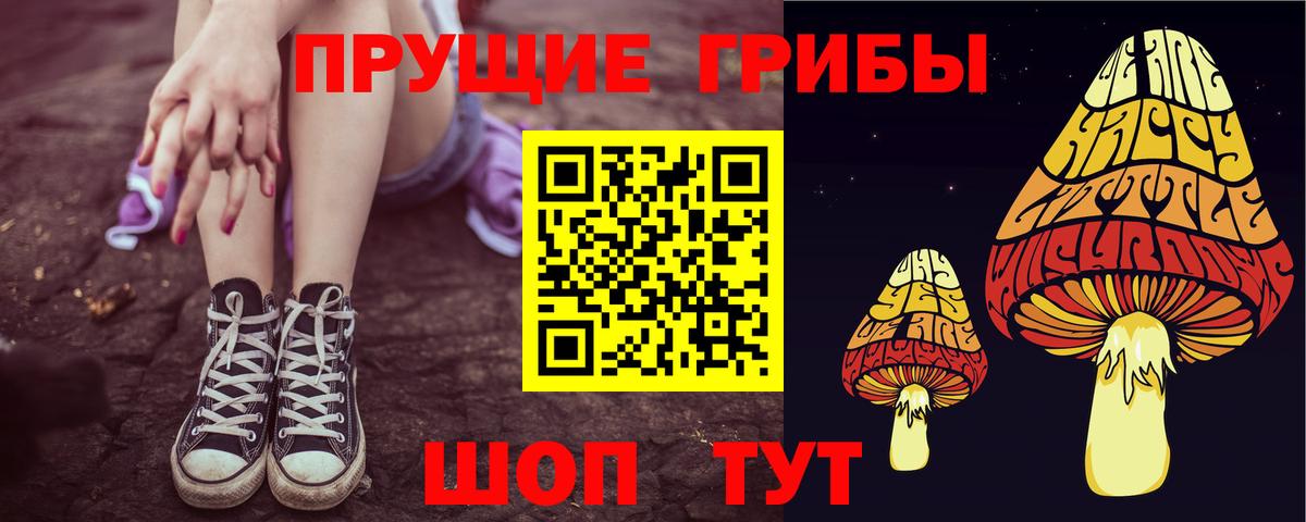 Галлюциногенные грибы Psilocybine cubensis Казань